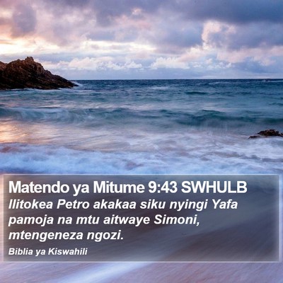 Matendo ya Mitume 9:43 SWHULB Bible Verse Image