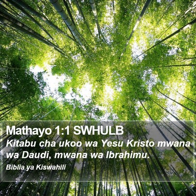 Mathayo 1:1 SWHULB Bible Verse Image