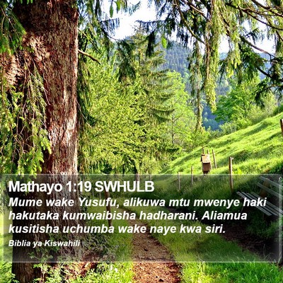 Mathayo 1:19 SWHULB Bible Verse Image