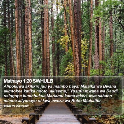 Mathayo 1:20 SWHULB Bible Verse Image
