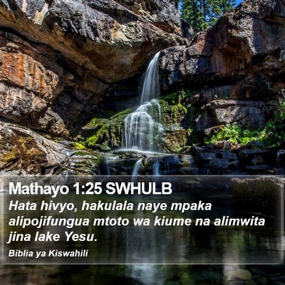 Mathayo 1:25 SWHULB Bible Verse Image