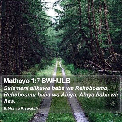 Mathayo 1:7 SWHULB Bible Verse Image
