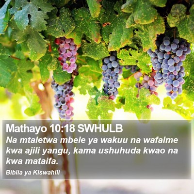 Mathayo 10:18 SWHULB Bible Verse Image