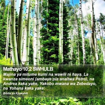 Mathayo 10:2 SWHULB Bible Verse Image
