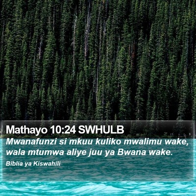Mathayo 10:24 SWHULB Bible Verse Image