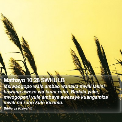 Mathayo 10:28 SWHULB Bible Verse Image