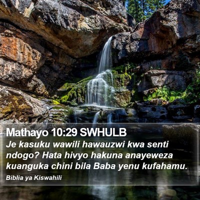 Mathayo 10:29 SWHULB Bible Verse Image