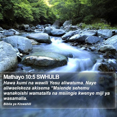 Mathayo 10:5 SWHULB Bible Verse Image