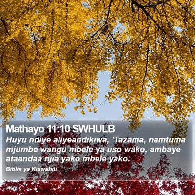 Mathayo 11:10 SWHULB Bible Verse Image