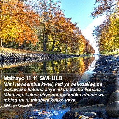Mathayo 11:11 SWHULB Bible Verse Image