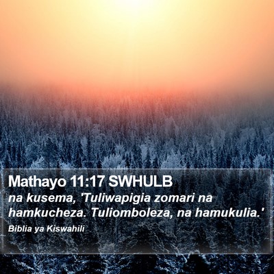 Mathayo 11:17 SWHULB Bible Verse Image