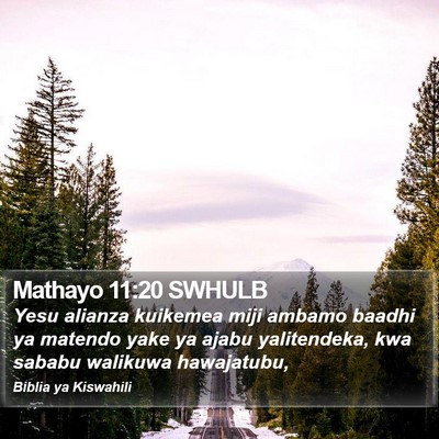 Mathayo 11:20 SWHULB Bible Verse Image