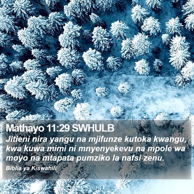 Mathayo 11:29 SWHULB Bible Verse Image