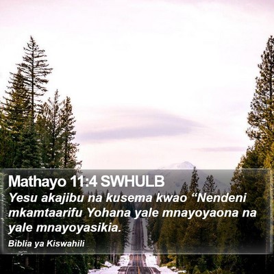 Mathayo 11:4 SWHULB Bible Verse Image