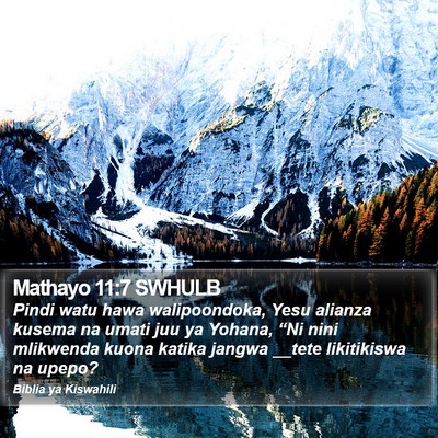 Mathayo 11:7 SWHULB Bible Verse Image