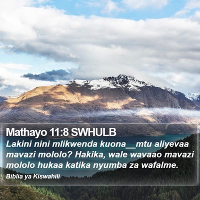 Mathayo 11:8 SWHULB Bible Verse Image