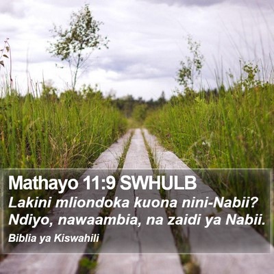 Mathayo 11:9 SWHULB Bible Verse Image