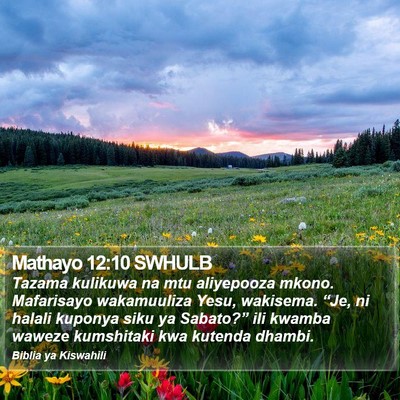 Mathayo 12:10 SWHULB Bible Verse Image