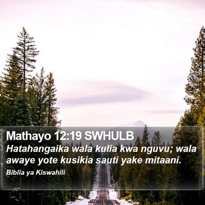 Mathayo 12:19 SWHULB Bible Verse Image