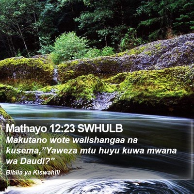Mathayo 12:23 SWHULB Bible Verse Image
