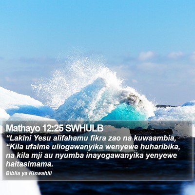 Mathayo 12:25 SWHULB Bible Verse Image