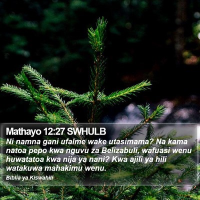 Mathayo 12:27 SWHULB Bible Verse Image