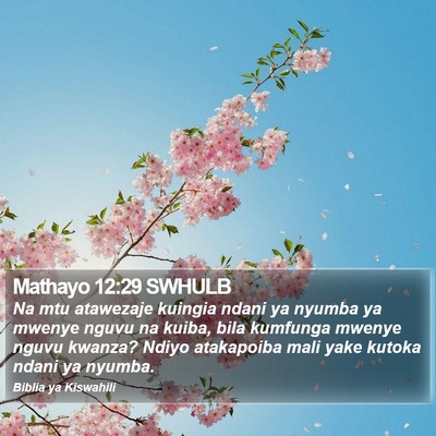 Mathayo 12:29 SWHULB Bible Verse Image