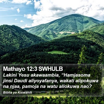Mathayo 12:3 SWHULB Bible Verse Image