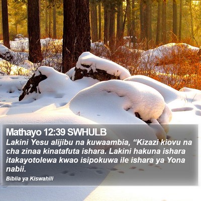 Mathayo 12:39 SWHULB Bible Verse Image