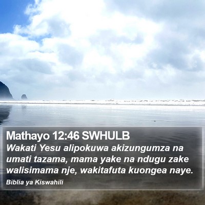 Mathayo 12:46 SWHULB Bible Verse Image