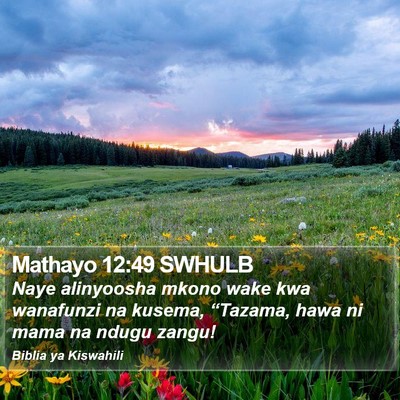 Mathayo 12:49 SWHULB Bible Verse Image