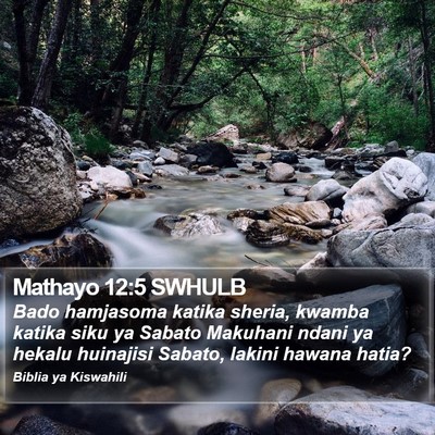 Mathayo 12:5 SWHULB Bible Verse Image