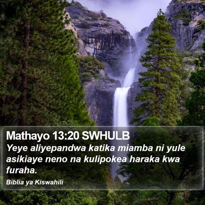 Mathayo 13:20 SWHULB Bible Verse Image