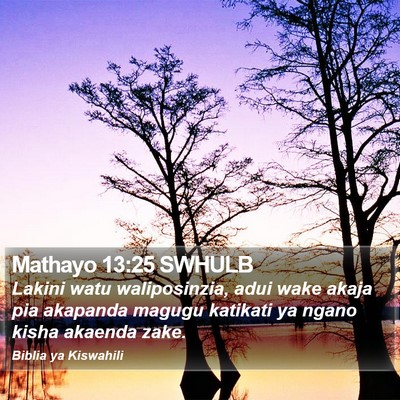 Mathayo 13:25 SWHULB Bible Verse Image