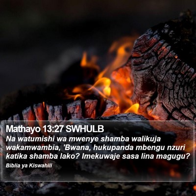 Mathayo 13:27 SWHULB Bible Verse Image