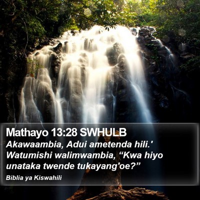 Mathayo 13:28 SWHULB Bible Verse Image