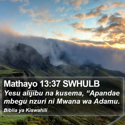 Mathayo 13:37 SWHULB Bible Verse Image