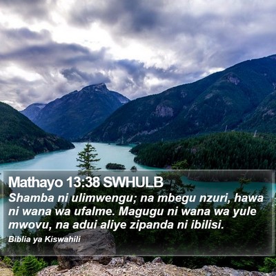 Mathayo 13:38 SWHULB Bible Verse Image
