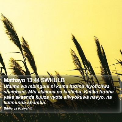Mathayo 13:44 SWHULB Bible Verse Image