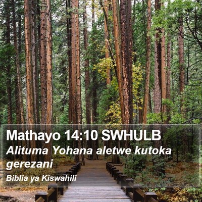 Mathayo 14:10 SWHULB Bible Verse Image