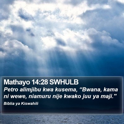 Mathayo 14:28 SWHULB Bible Verse Image