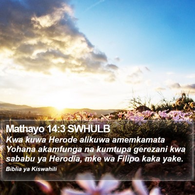 Mathayo 14:3 SWHULB Bible Verse Image