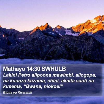 Mathayo 14:30 SWHULB Bible Verse Image