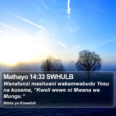 Mathayo 14:33 SWHULB Bible Verse Image