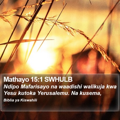 Mathayo 15:1 SWHULB Bible Verse Image