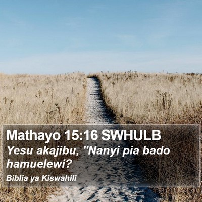 Mathayo 15:16 SWHULB Bible Verse Image