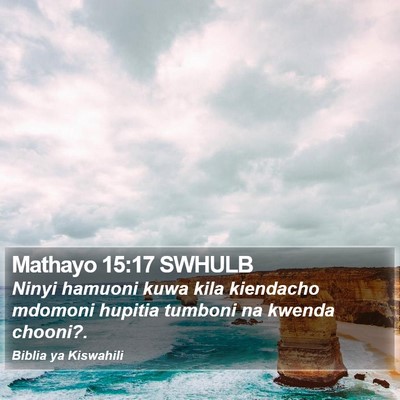 Mathayo 15:17 SWHULB Bible Verse Image