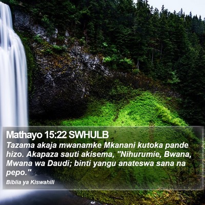 Mathayo 15:22 SWHULB Bible Verse Image