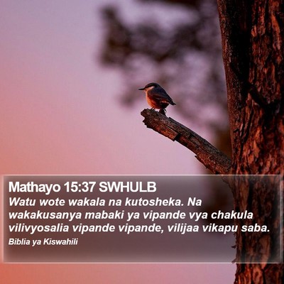 Mathayo 15:37 SWHULB Bible Verse Image