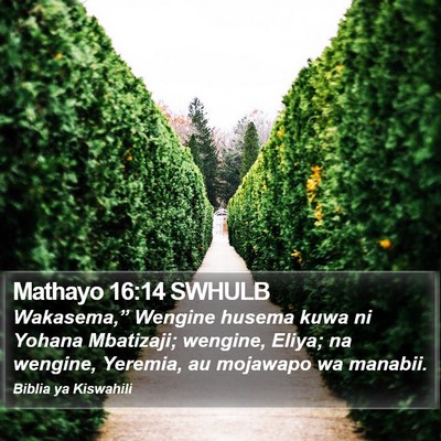 Mathayo 16:14 SWHULB Bible Verse Image